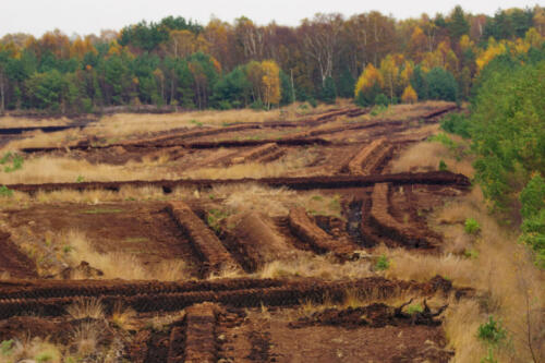 UchterMoor TurfAfgraving